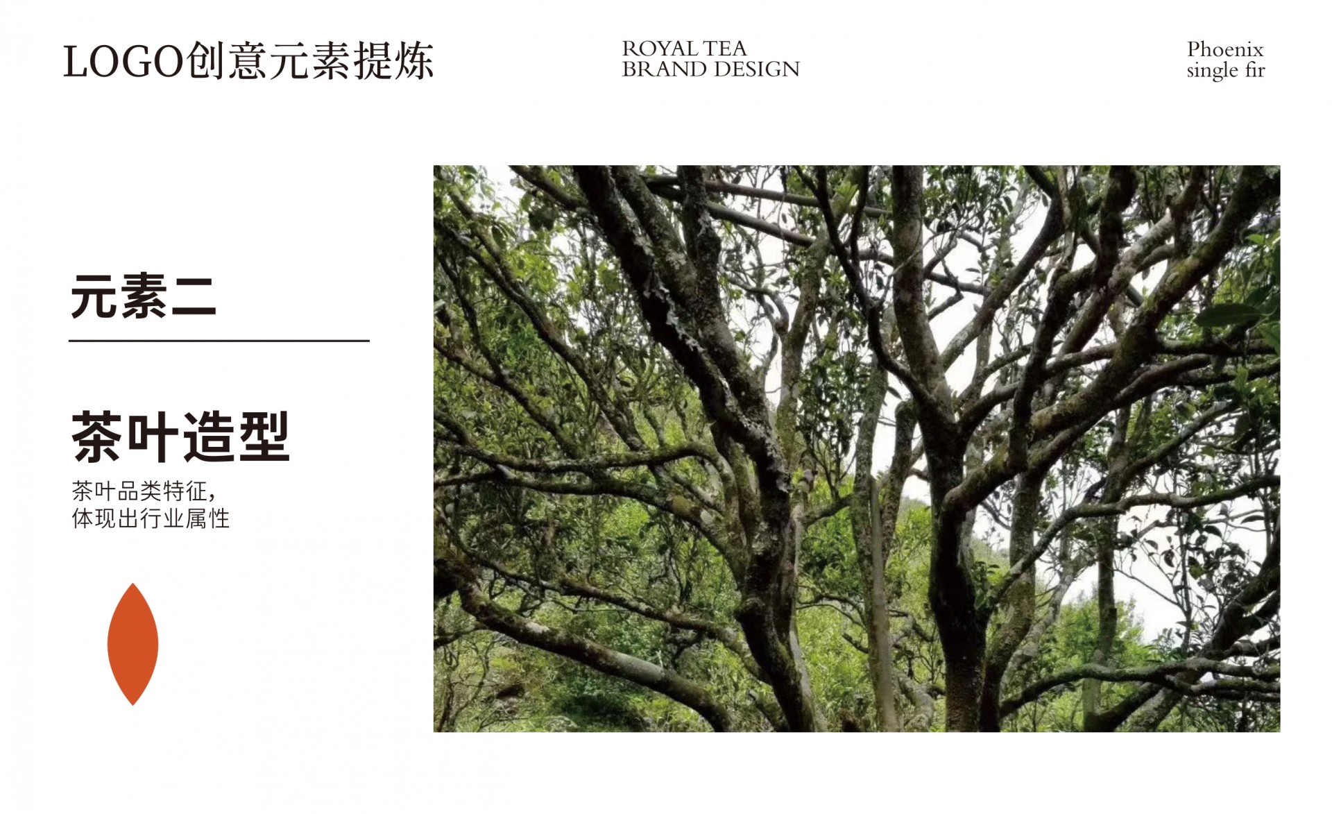 乌岽老寨品牌logo设计方案_page-0012.jpg